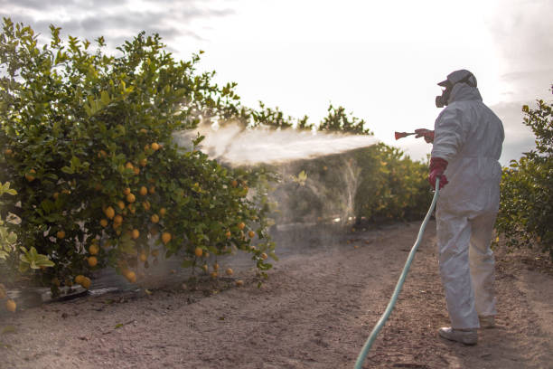 Best Best Pest Control Companies  in Archer Lodge, NC