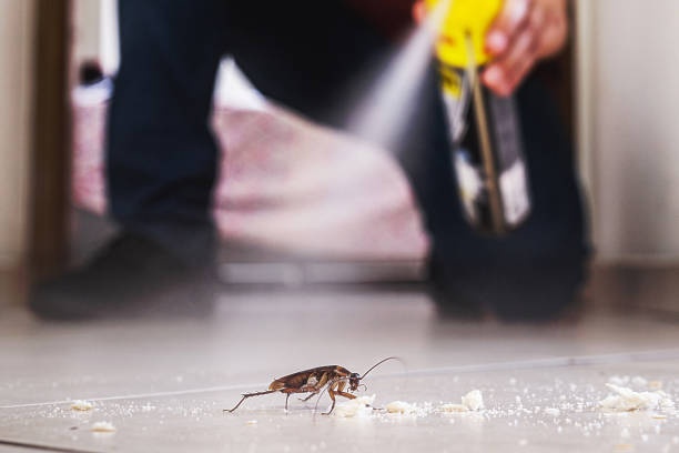 Archer Lodge, NC Pest Control Company